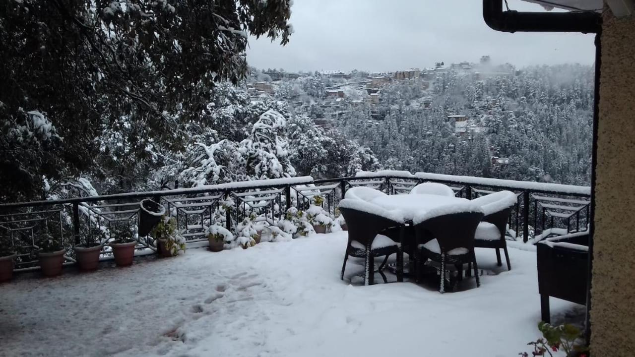 The Oaktree House Hotel Shimla Ngoại thất bức ảnh