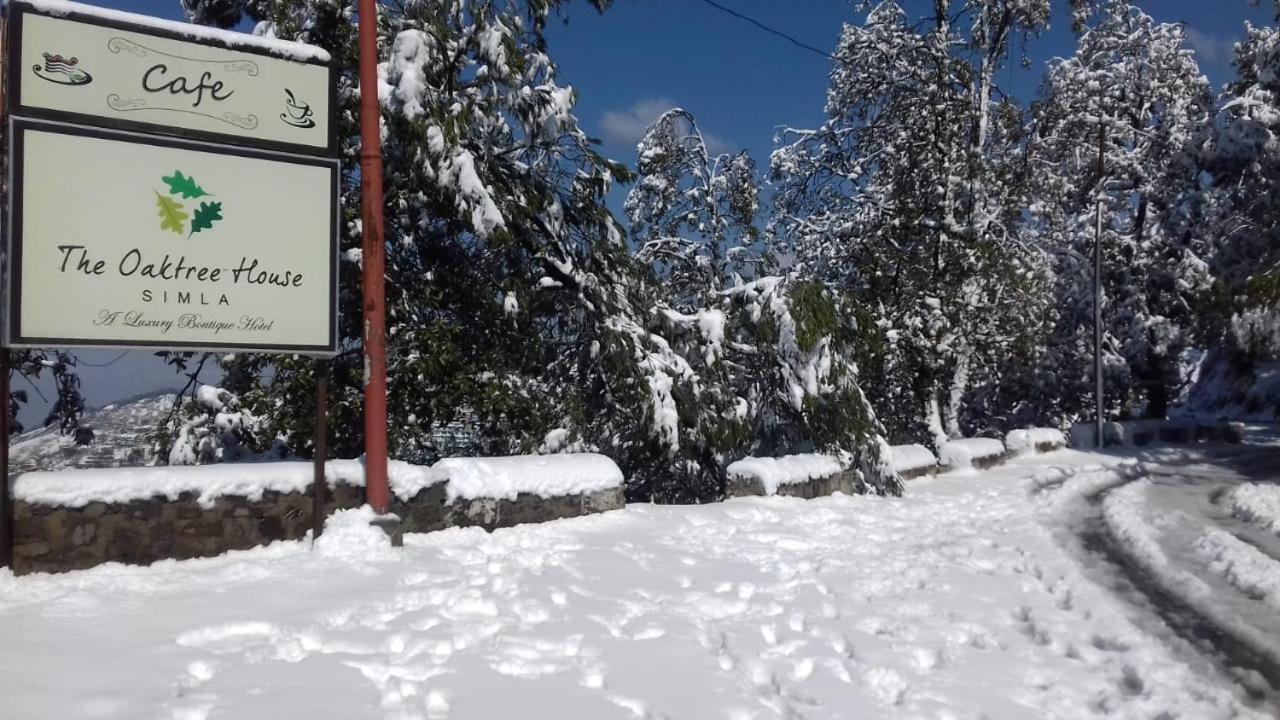 The Oaktree House Hotel Shimla Ngoại thất bức ảnh