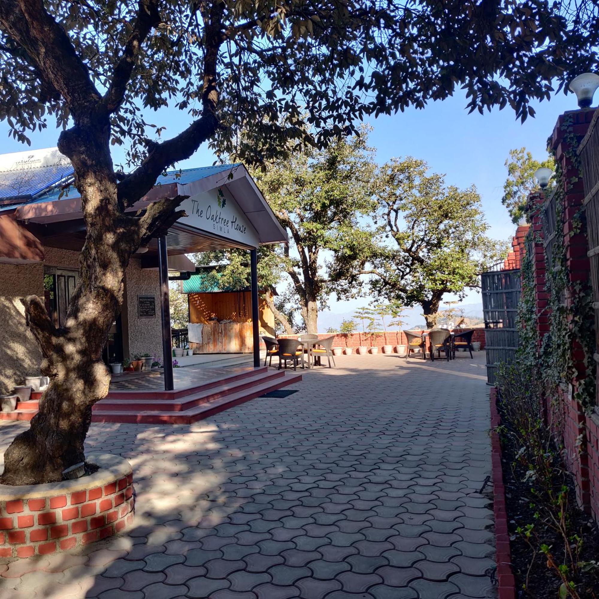 The Oaktree House Hotel Shimla Ngoại thất bức ảnh